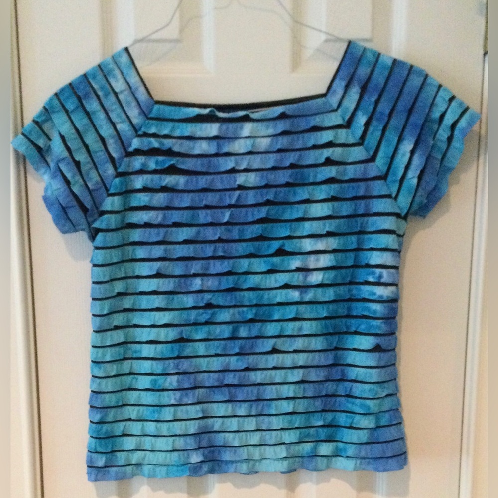 New Directions Womens Size Small Blue and  Black Striped Short Sleeve Top